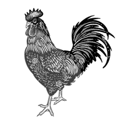 मंगोल नेशनल अर्गनाइजेशन